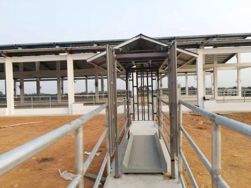 Ящик для взвешивания скота EID Ящик для взвешивания скота EID