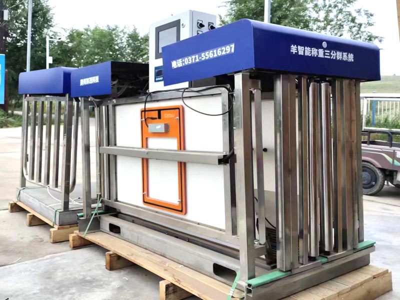 Овечий Авто Драфтер – 3-х сторонний Овечий Авто Драфтер – 3-х сторонний