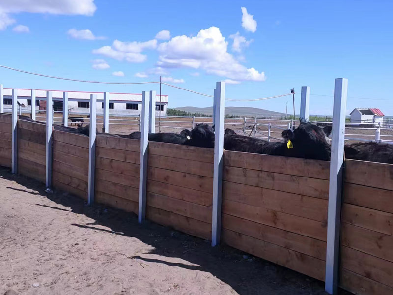 Авточертежник для крупного рогатого скота Авточертежник для крупного рогатого скота