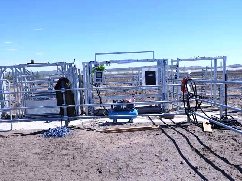 Авточертежник для крупного рогатого скота Авточертежник для крупного рогатого скота