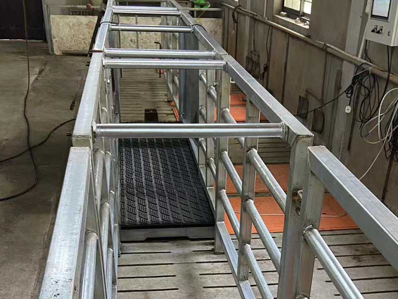 Ящик для взвешивания свиней EID Ящик для взвешивания свиней EID