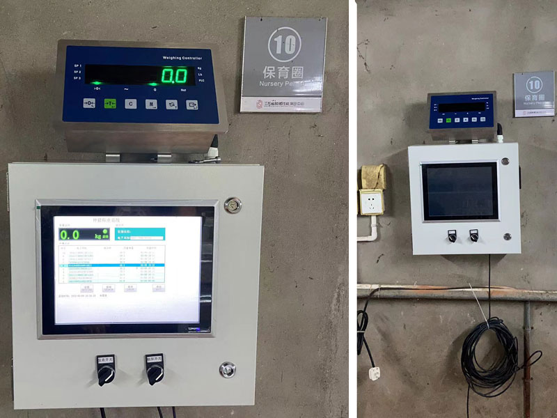 Ящик для взвешивания свиней EID Ящик для взвешивания свиней EID