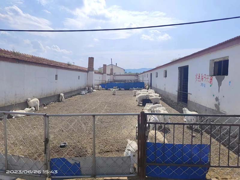 Овечий Авто Драфтер – 3-х сторонний Овечий Авто Драфтер – 3-х сторонний