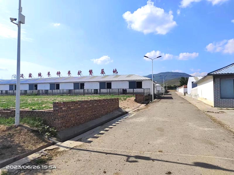 Автоматизация измерения поголовья скота Автоматизация измерения поголовья скота