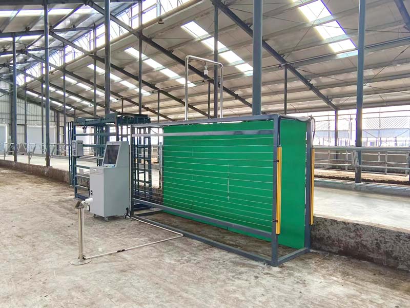 Автоматизация измерения поголовья скота Автоматизация измерения поголовья скота