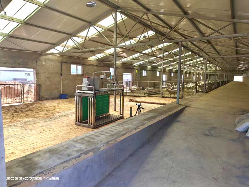 Автоматизация измерения поголовья скота Автоматизация измерения поголовья скота