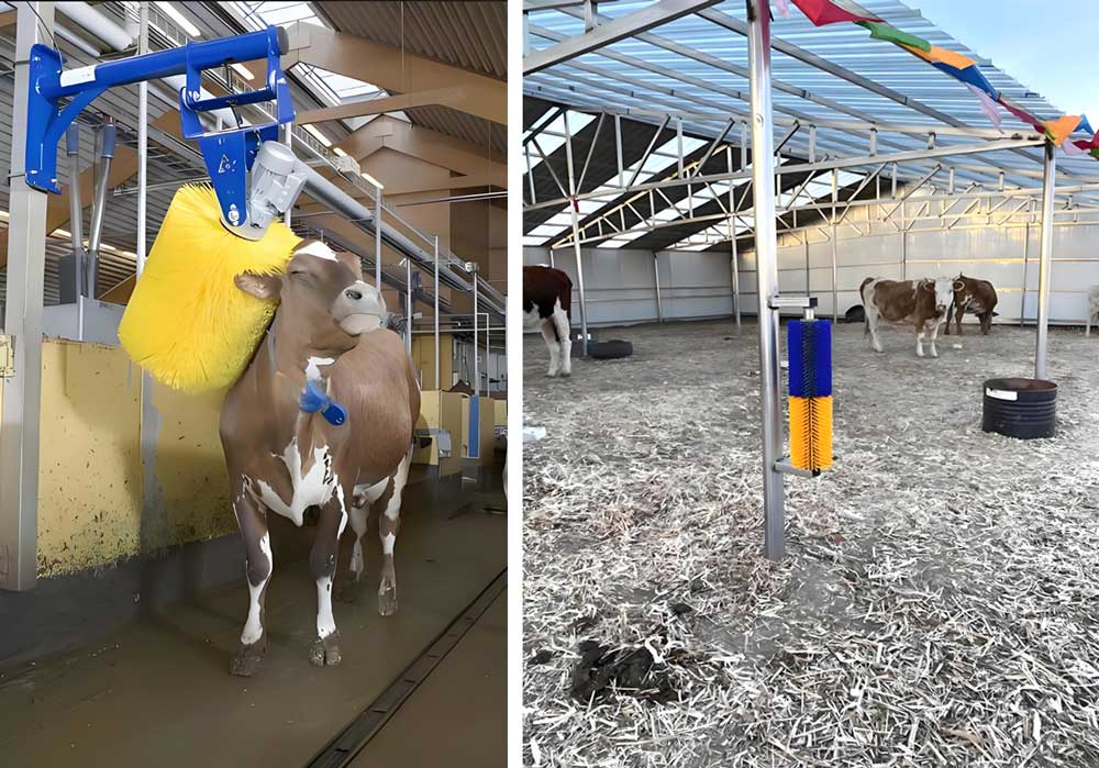 Щетка для тела коровы Щетка для тела коровы