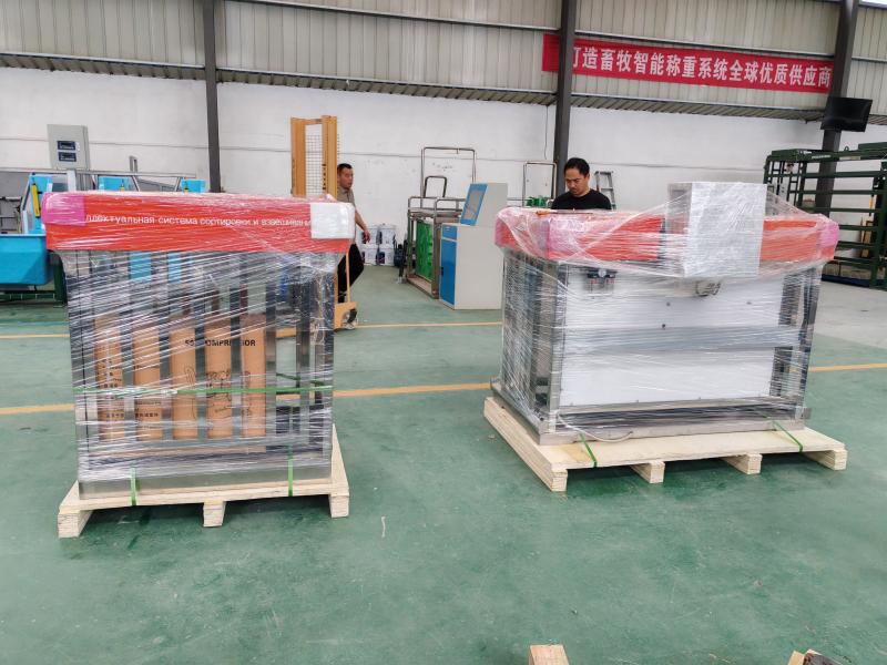 Интеллектуальная система взвешивания овец продана в Казахстан и введена в эксплуатацию Интеллектуальная система взвешивания овец продана в Казахстан и введена в эксплуатацию